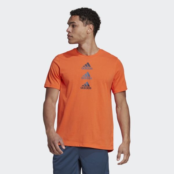 Designed to Move Logo Tee Adidas Orange