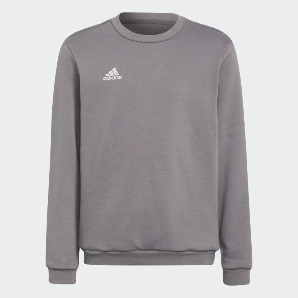 Grey Entrada 22 Sweatshirt Adidas